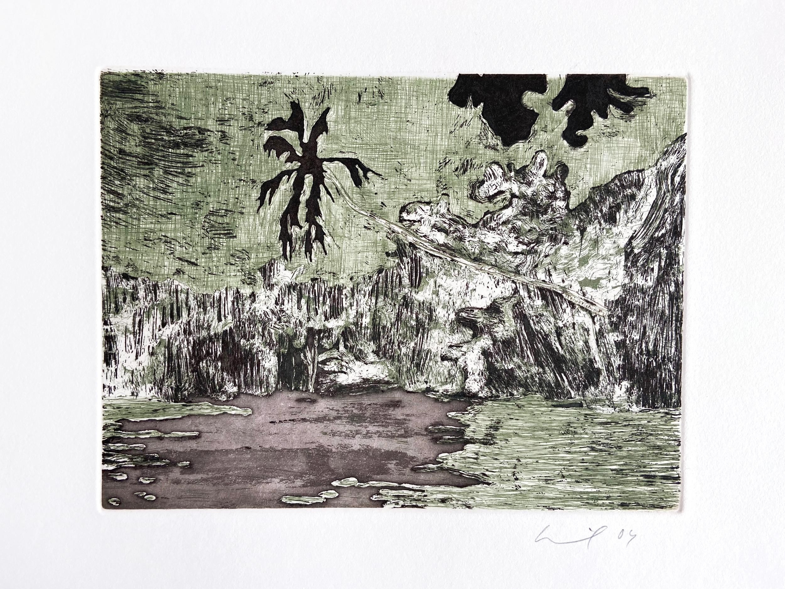 Black Palm, 2004, Etching, Contemporary Art, British Art, Hand signed - Print by Peter Doig