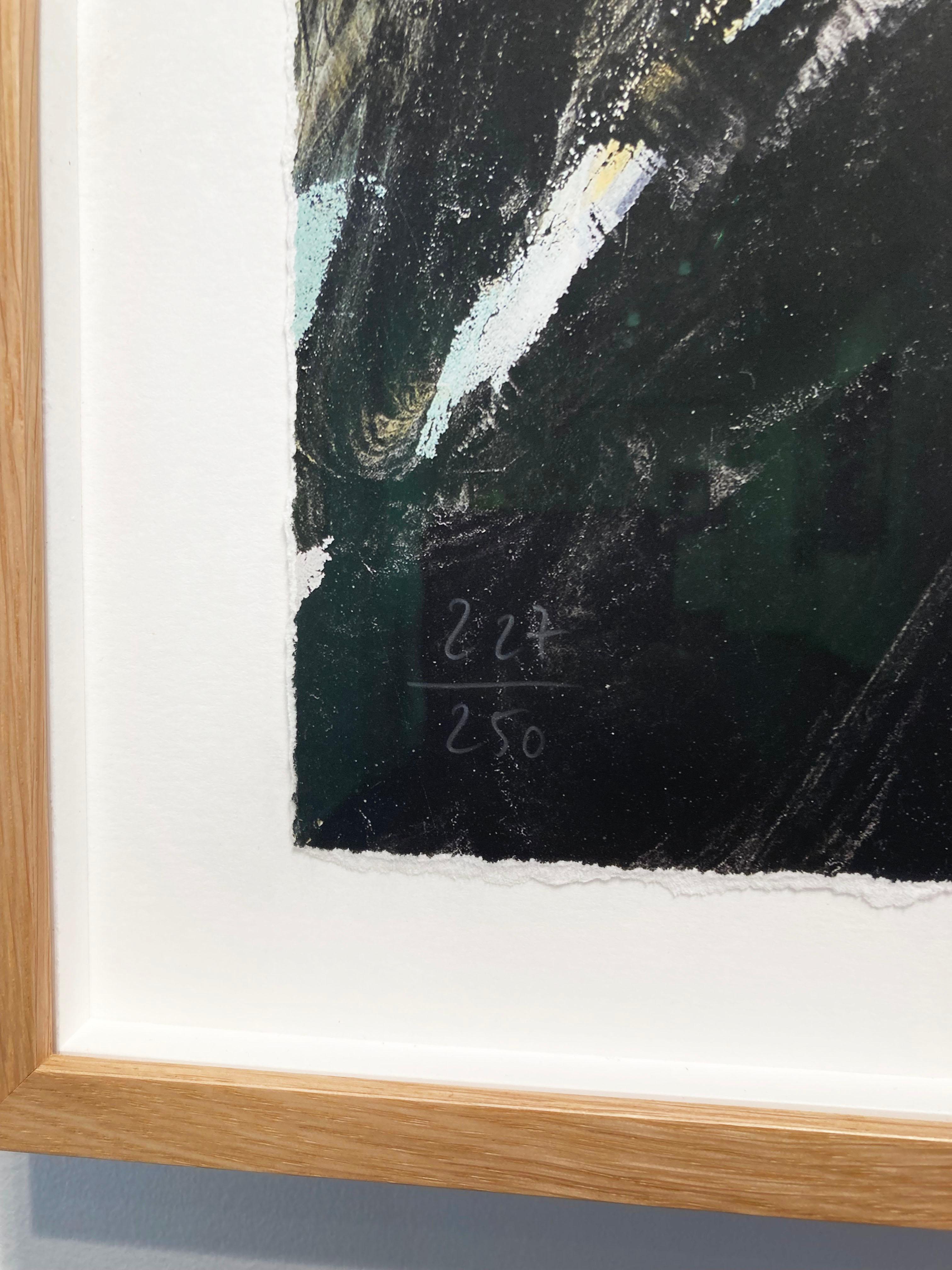 Artiste :  Doig, Peter
Titre :  D1-5 Nuit des alpinistes
Série :  D1 Zermatt
Date :  2022
Moyen :  Impression en giclée sur coton lisse
Sans cadre Dimensions :  44.75