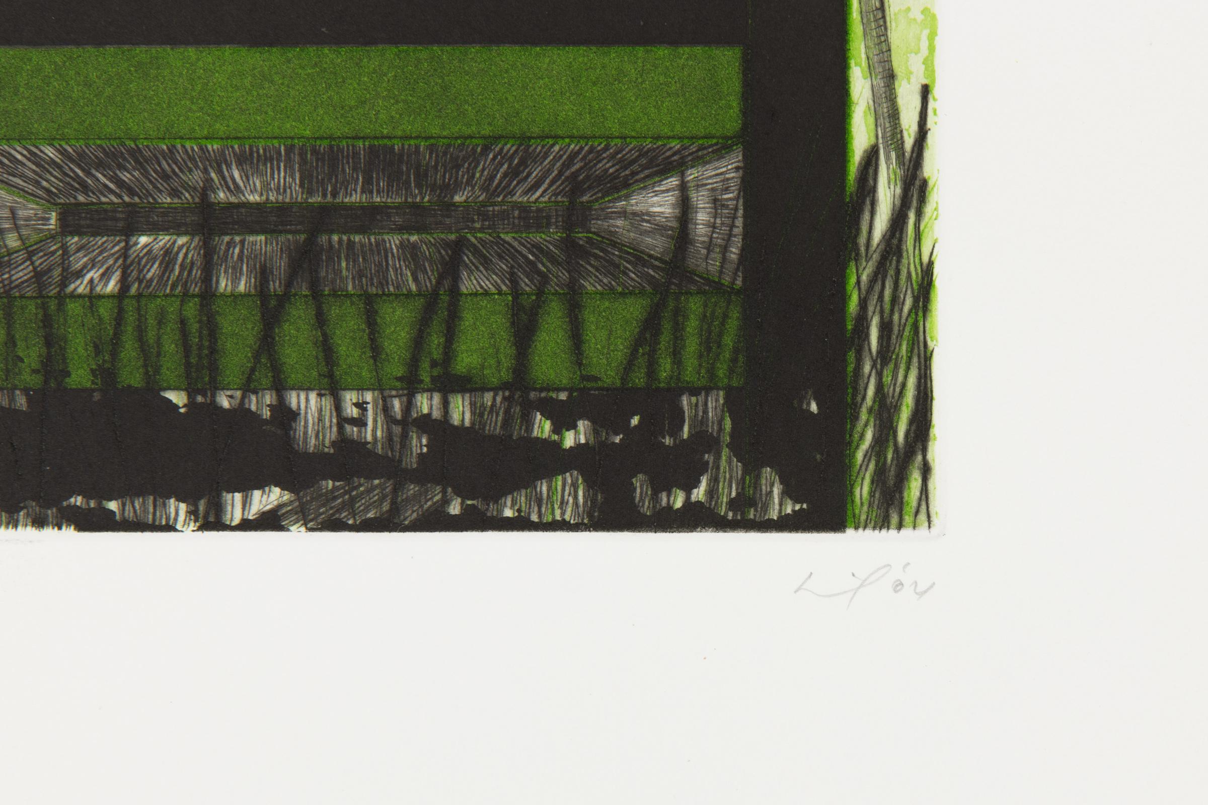 Peter Doig, Maracas - Aguafuerte y aguatinta, Impresión firmada, Arte británico 4