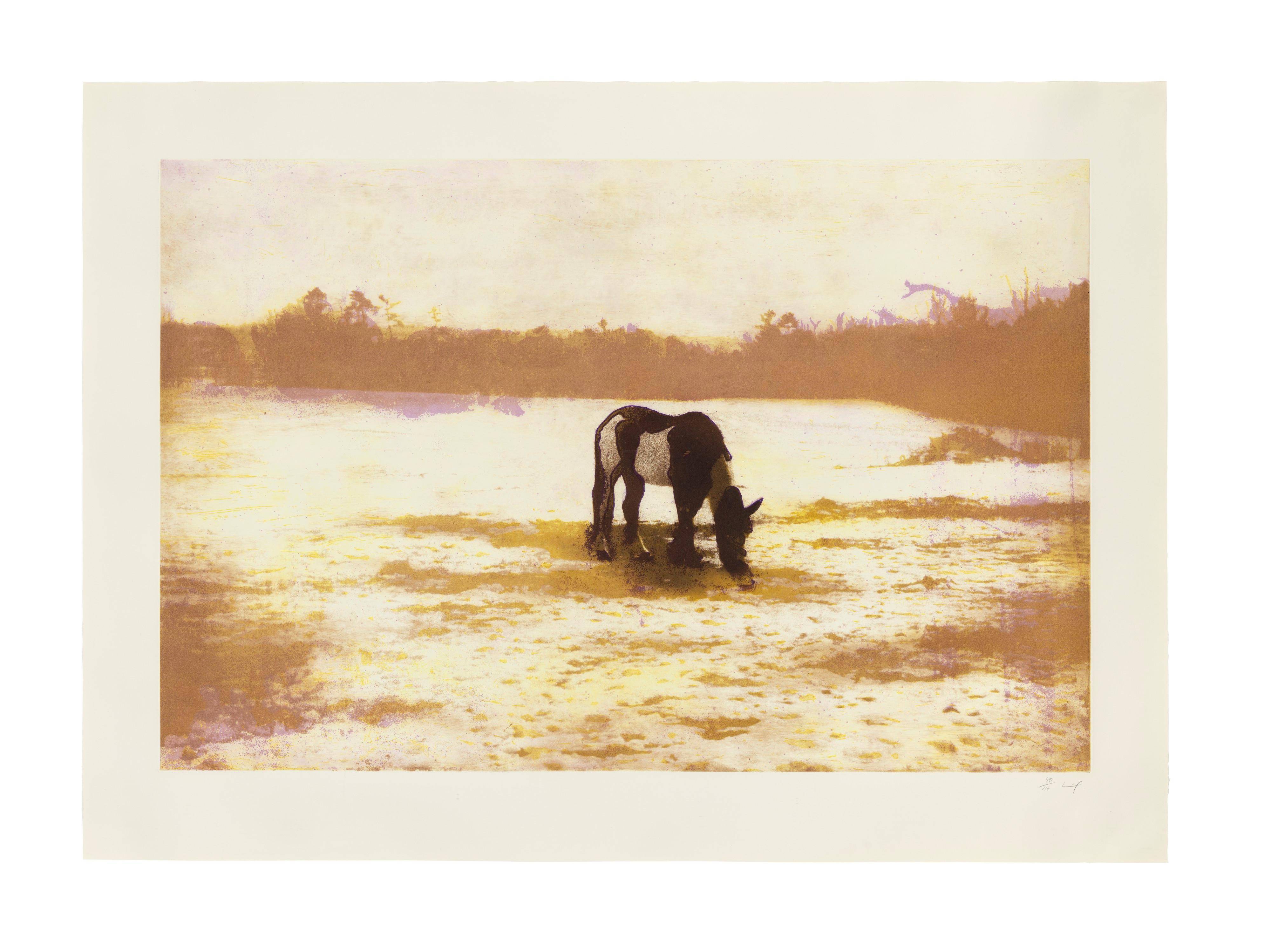 Pinto - White Landscape Print by Peter Doig
