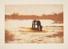 Pinto - Contemporaneo, Paesaggio, Cavallo, Nature