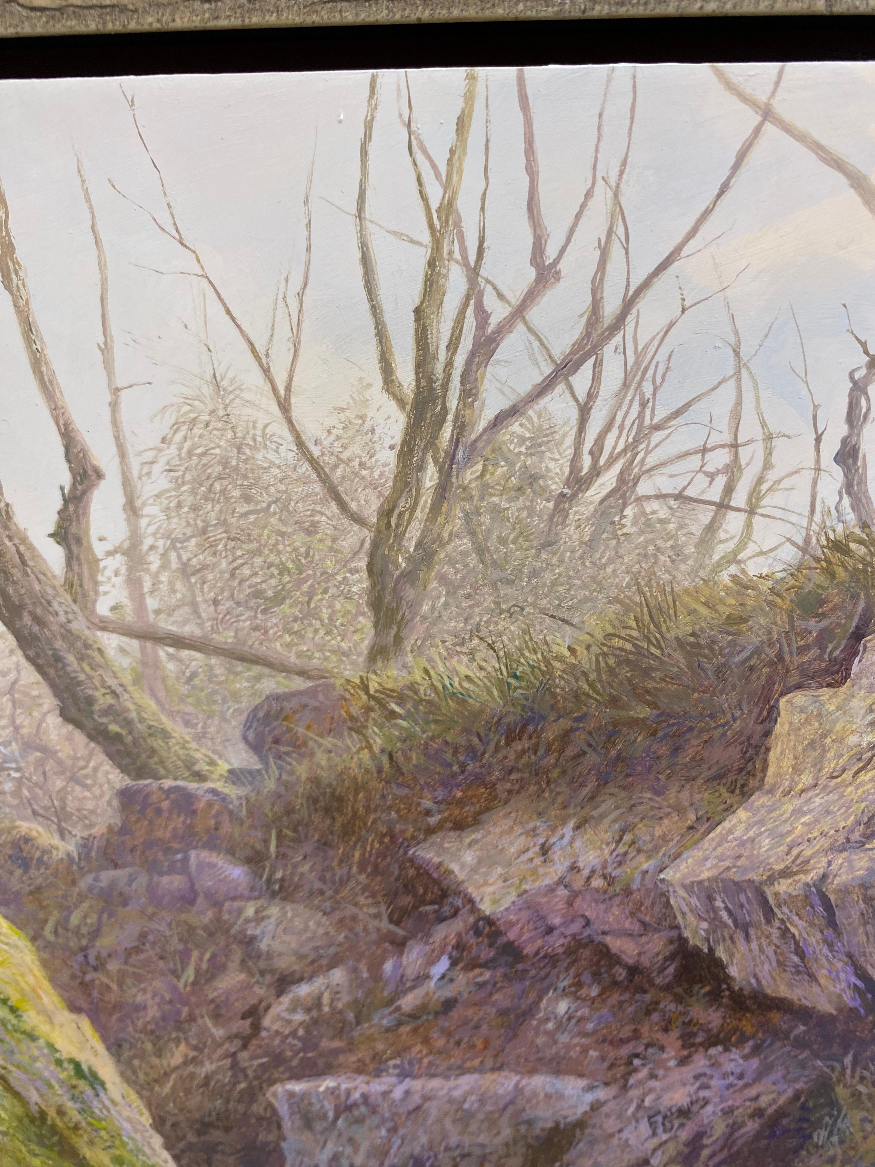 A tough Rock - 21st Century Contemporary Landscape Painting of a Forest For Sale 3