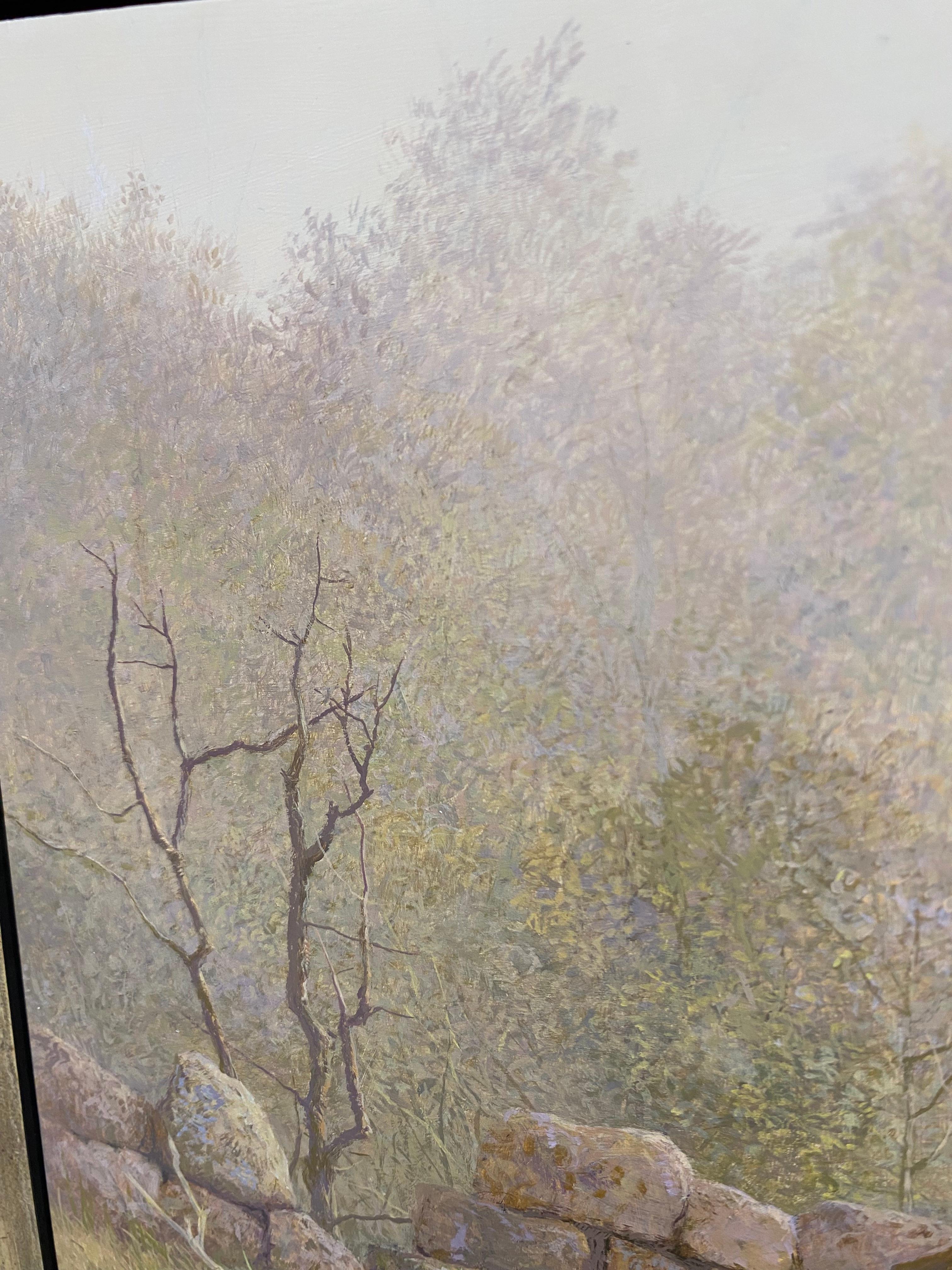 A tough Rock - 21st Century Contemporary Landscape Painting of a Forest For Sale 6