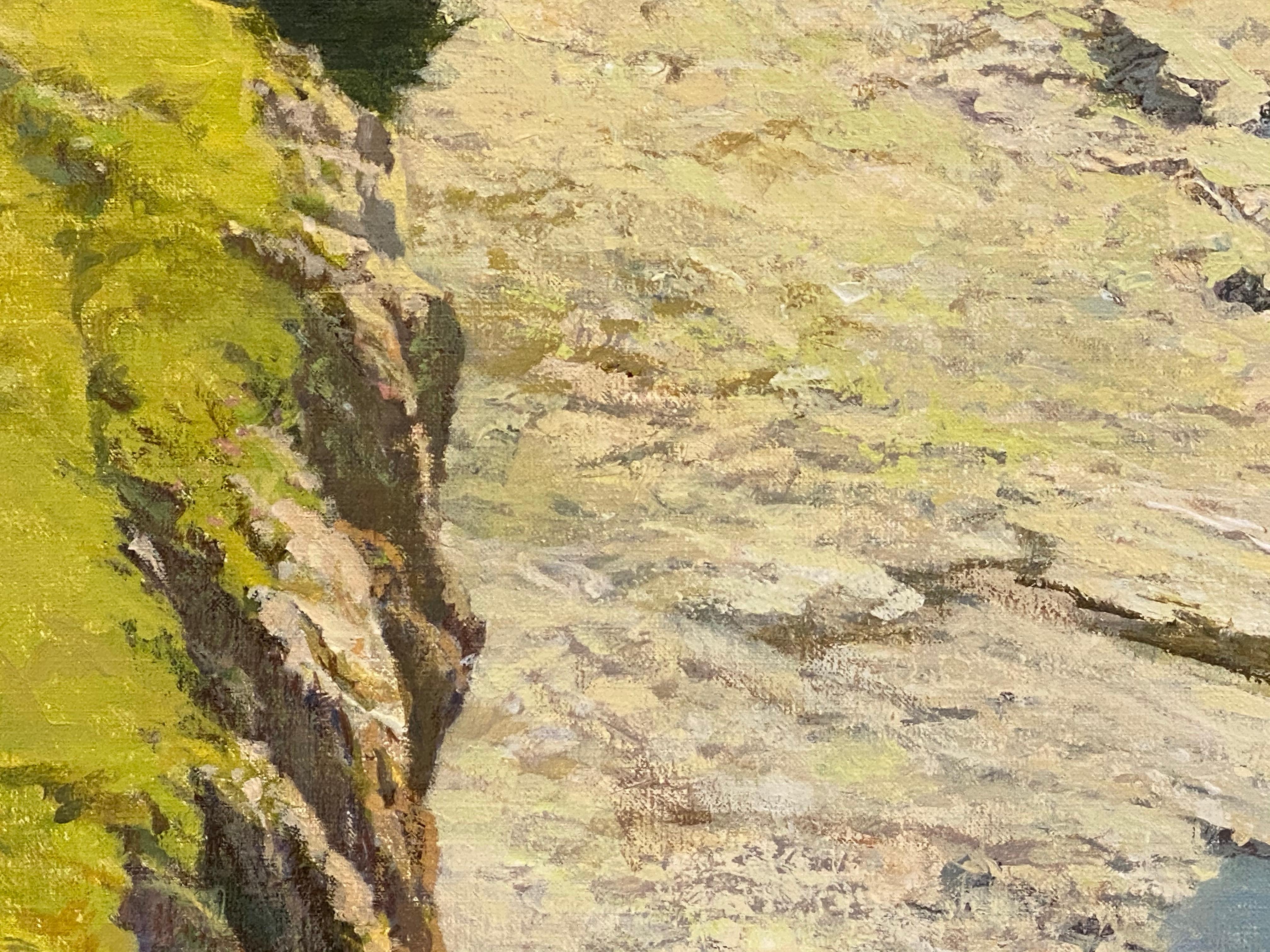 Ardche à couper le souffle - Peinture néerlandaise du 21e siècle d'un paysage de rivière française. - Contemporain Painting par Peter Durieux