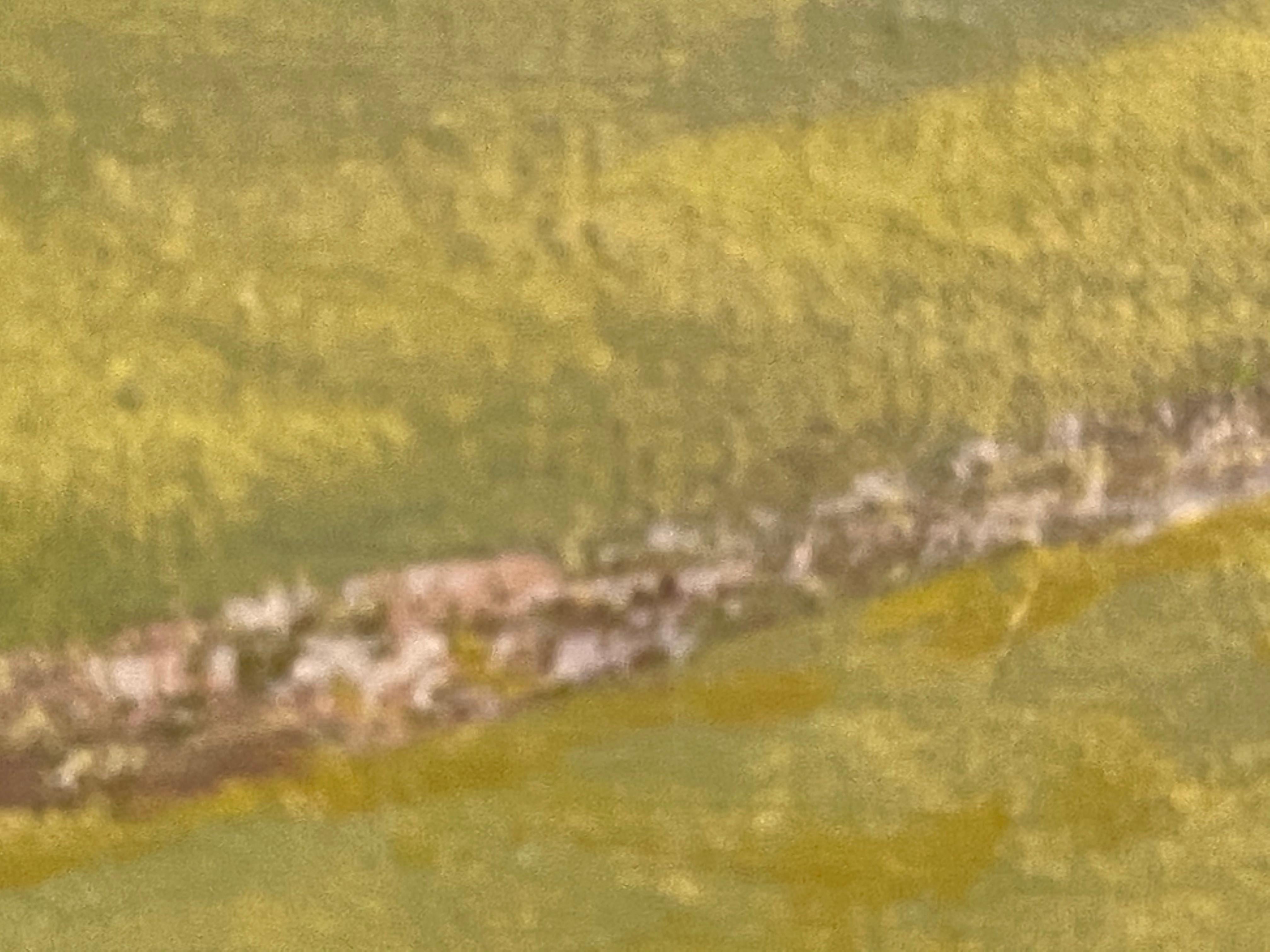 Atemberaubende Ardche- niederländisches Gemälde einer französischen Flusslandschaft aus dem 21. Jahrhundert. (Braun), Landscape Painting, von Peter Durieux