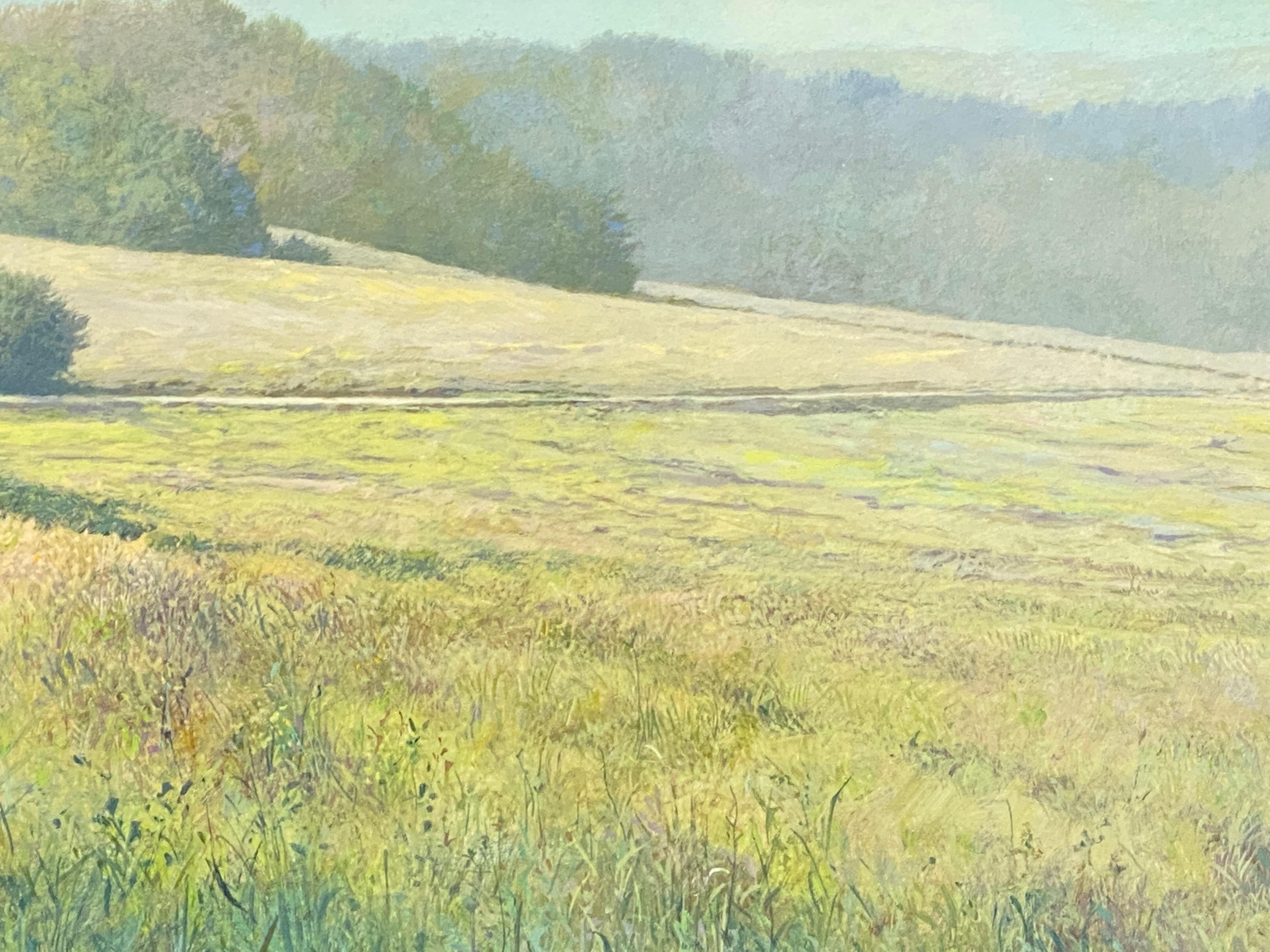 Peter Durieux
Nei pressi di Belvès
18 x 51 cm
* (Incorniciata in una cornice di legno metallizzato argento, inclusa, 23 x 56 cm)

Questo dipinto è opera dell'artista olandese Peter Durieux. Dipingendo nel suo studio di Groninga si sente come se