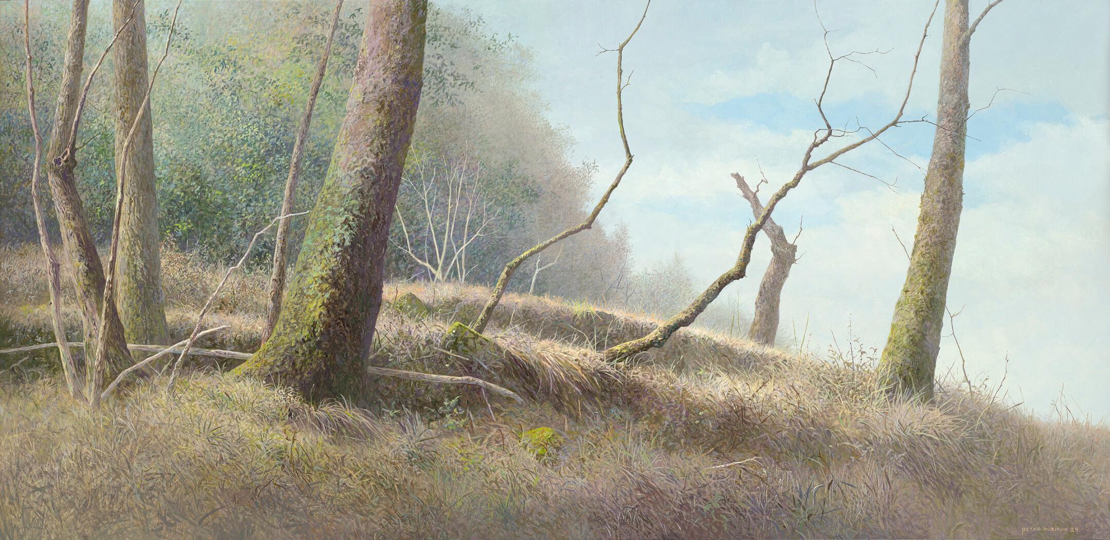 On the Edge of the Forest - 21st Century Contemporary Landscape Painting