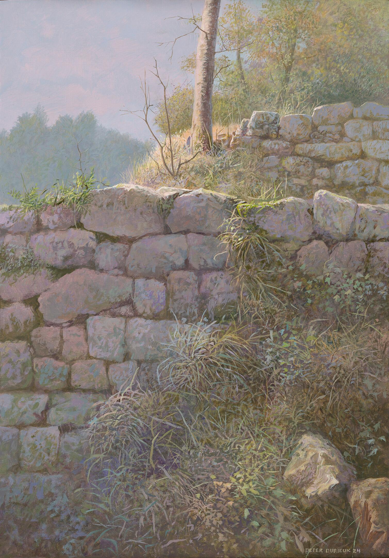 Peter Durieux
Terraces
33 x 23 cm (Framed, included in price 42 x 32 cm)

The work of Durieux is characterized by serene French landscapes. In recent years, he has also created work in and about the Netherlands. For example, he drew in the Brabant