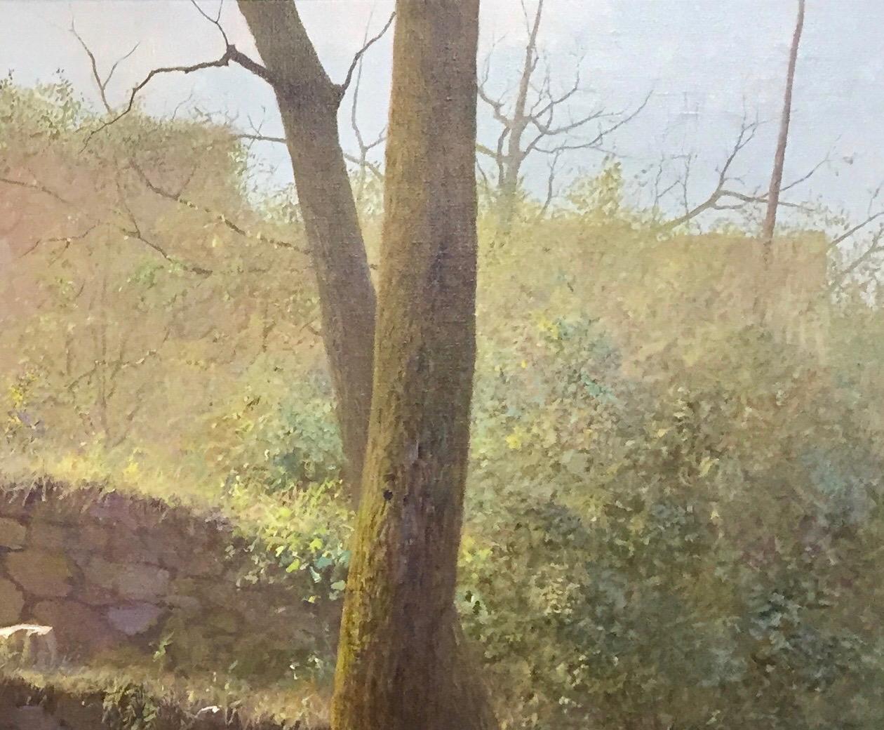 En esta obra, Peter Durieux muestra su amor por los paisajes de Francia, así como su capacidad de composición, tonalidad y estilo. 
Hermoso y poderoso al mismo tiempo.  

Dibujar es mirar. 
Las pinturas y dibujos de Durieux surgen en varias etapas.