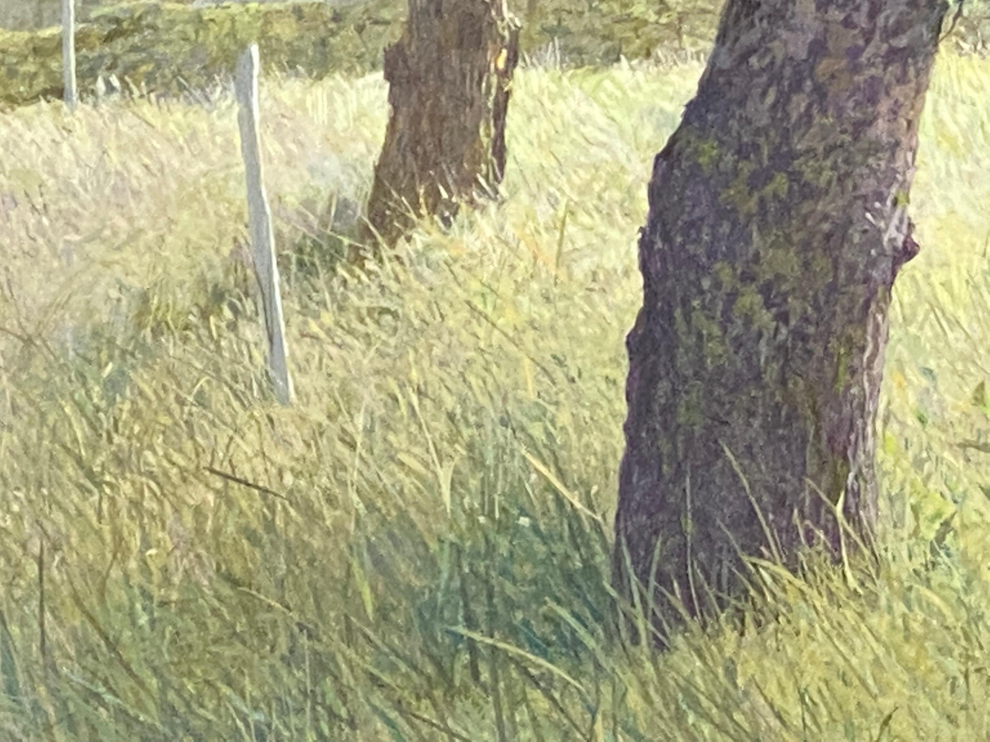 Peter Durieux
Überwachsener Baum
27 x 60 cm
* (Gerahmt in einem silbermetallischen Holzrahmen, inklusive, 34 x 67 cm)

Dieses Gemälde ist ein Werk des niederländischen Künstlers Peter Durieux. Wenn er in seinem Atelier in Groningen malt, fühlt er