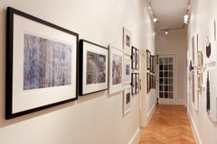 "  Ice Storm, Fernbank Forest, January 7, 2017" - Landscape Photography