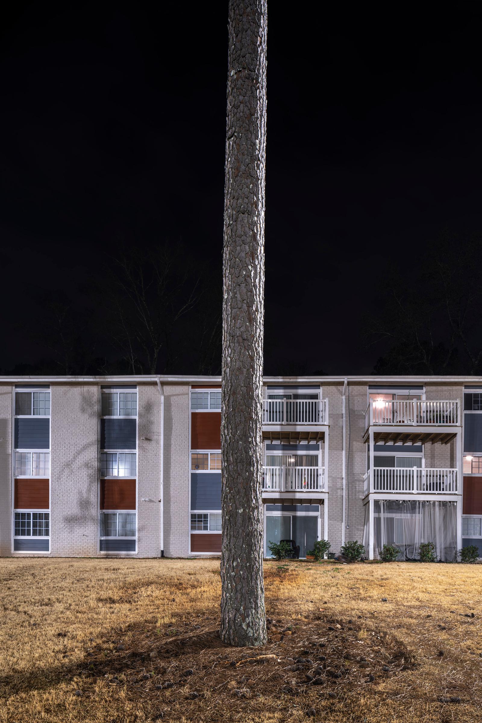 Peter Essick Color Photograph - "Loblolly Pine #3, Decatur, GA #2" landscape photography - Ray Metzker