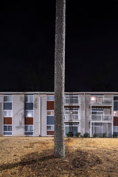 "Loblolly Pine #3, Decatur, GA #2" landscape photography - Ray Metzker