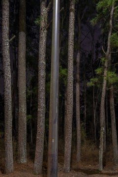 "Loblolly Pines #2, Stone Mountain, GA" landscape photography - Ray Metzker