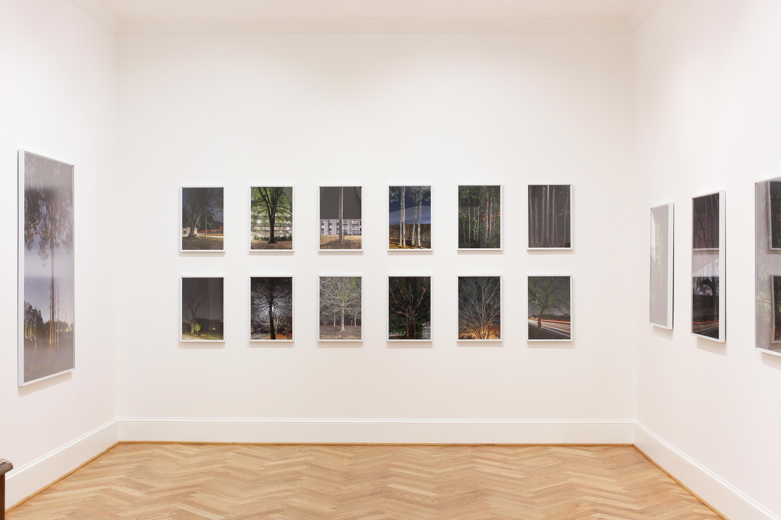 Photographie de paysage « Pin Oak n°1, Stone Mountain, GA » - Ray Metzker - Gris Color Photograph par Peter Essick