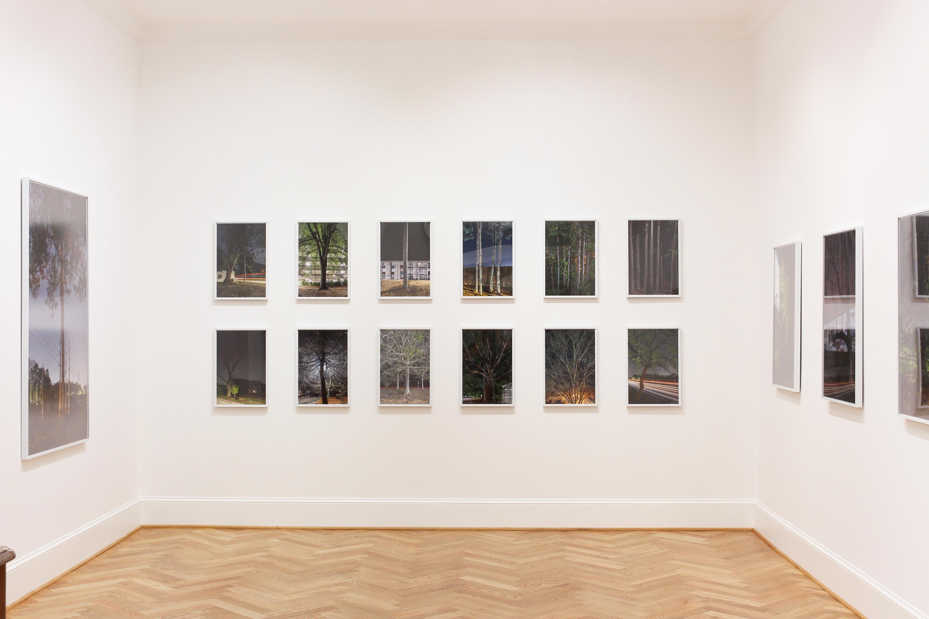 „Tulip Poplars #1, Lilburn, GA“ Anthropocene-Landschaftsfotografie – Ray Metzker – Photograph von Peter Essick