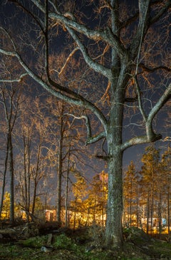 "White Oak #1, Lithonia, GA" Anthropocene landscape photography - Ansel Adams