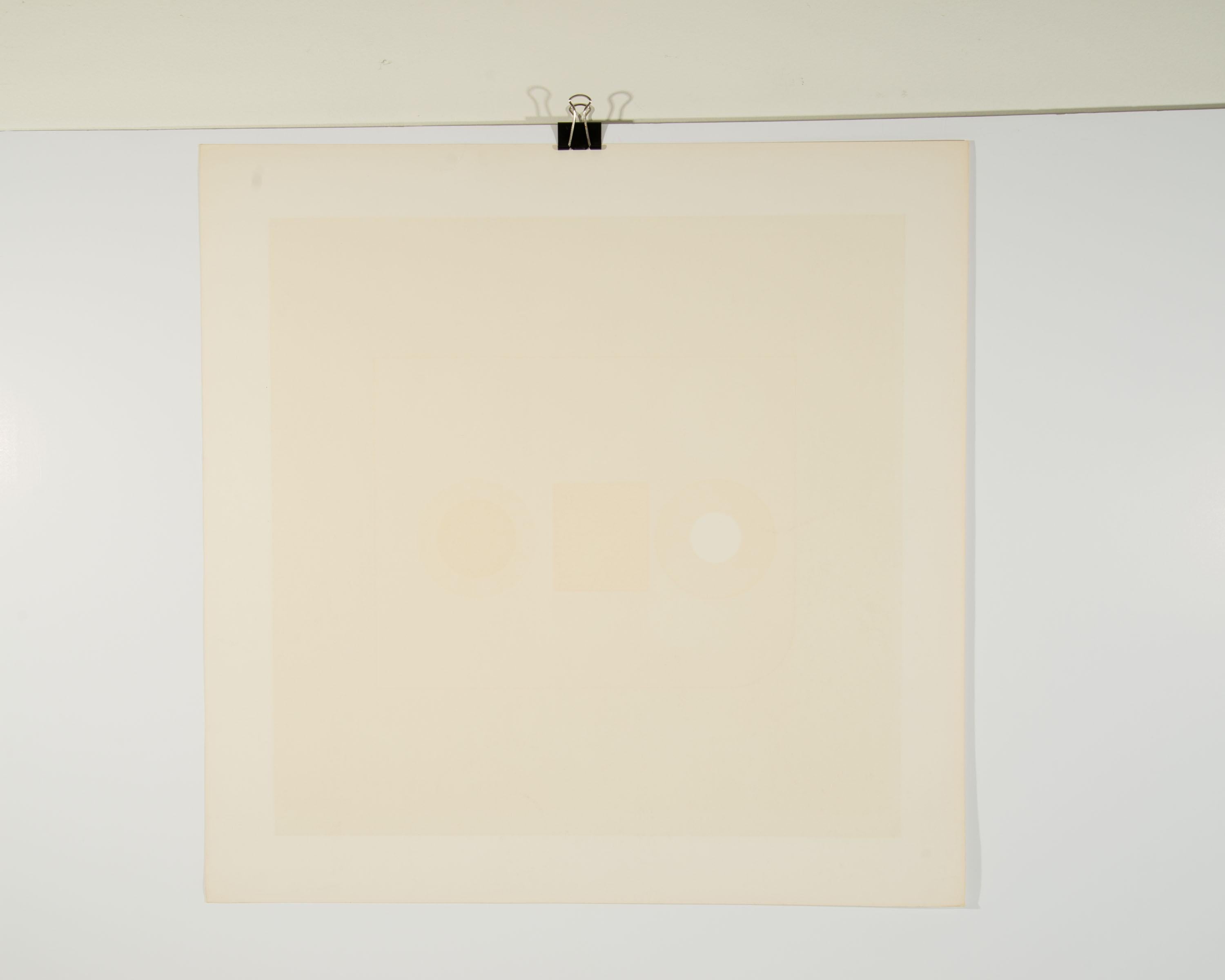 Abstrakte Op-Art- Serigraphie „Harvard Target #4“ von Peter Gee im Zustand „Gut“ im Angebot in Indianapolis, IN