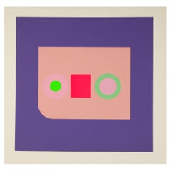 Vintage Peter Gee "Harvard Target #4" Abstract Op Art Serigraph