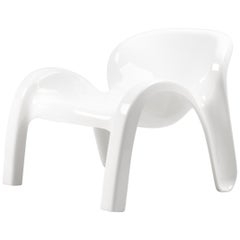 Peter Ghyczy GN2 Lounge Chair