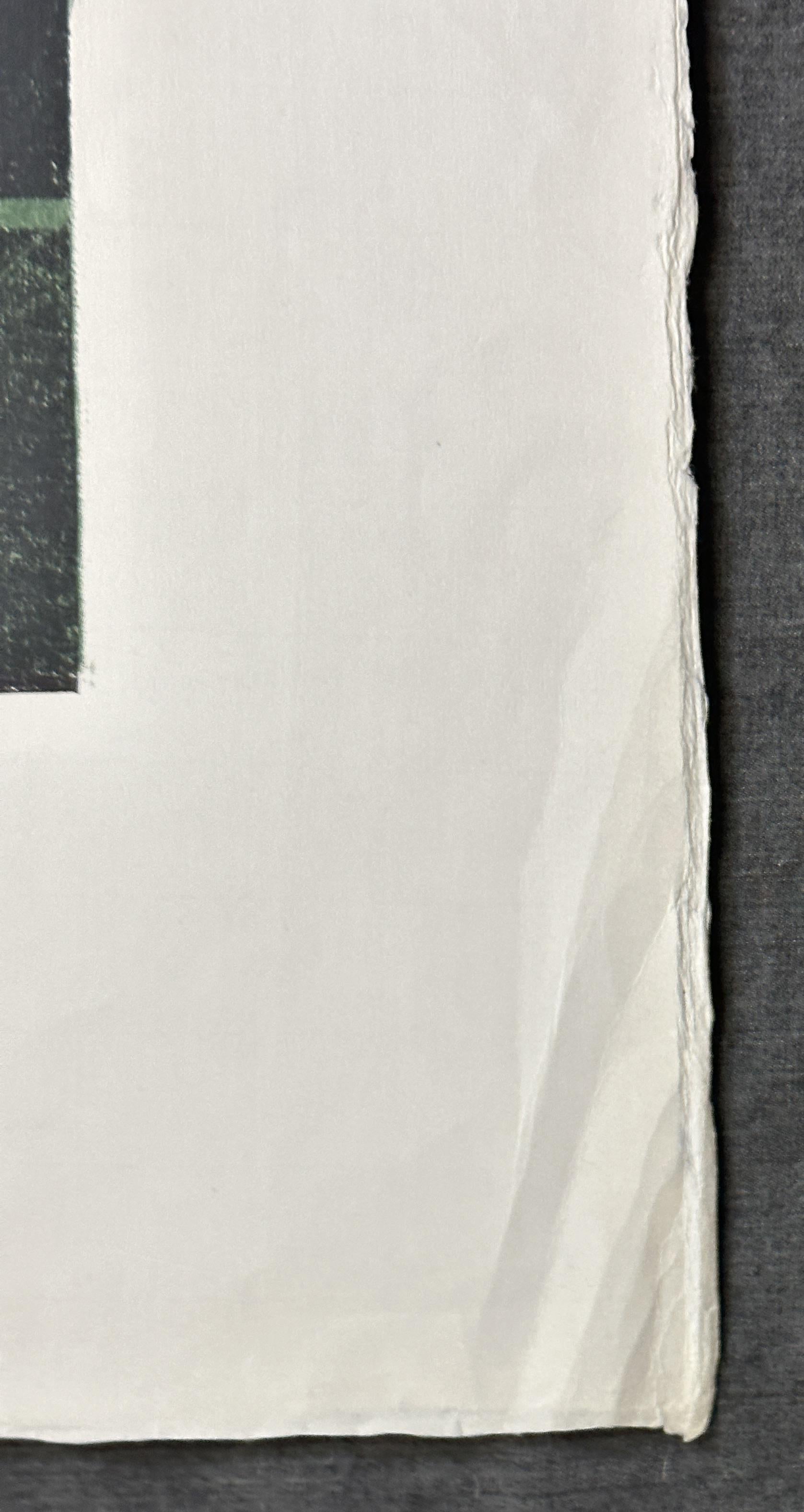 Peter Green
Midnight Flower 
Paper Size = 26½