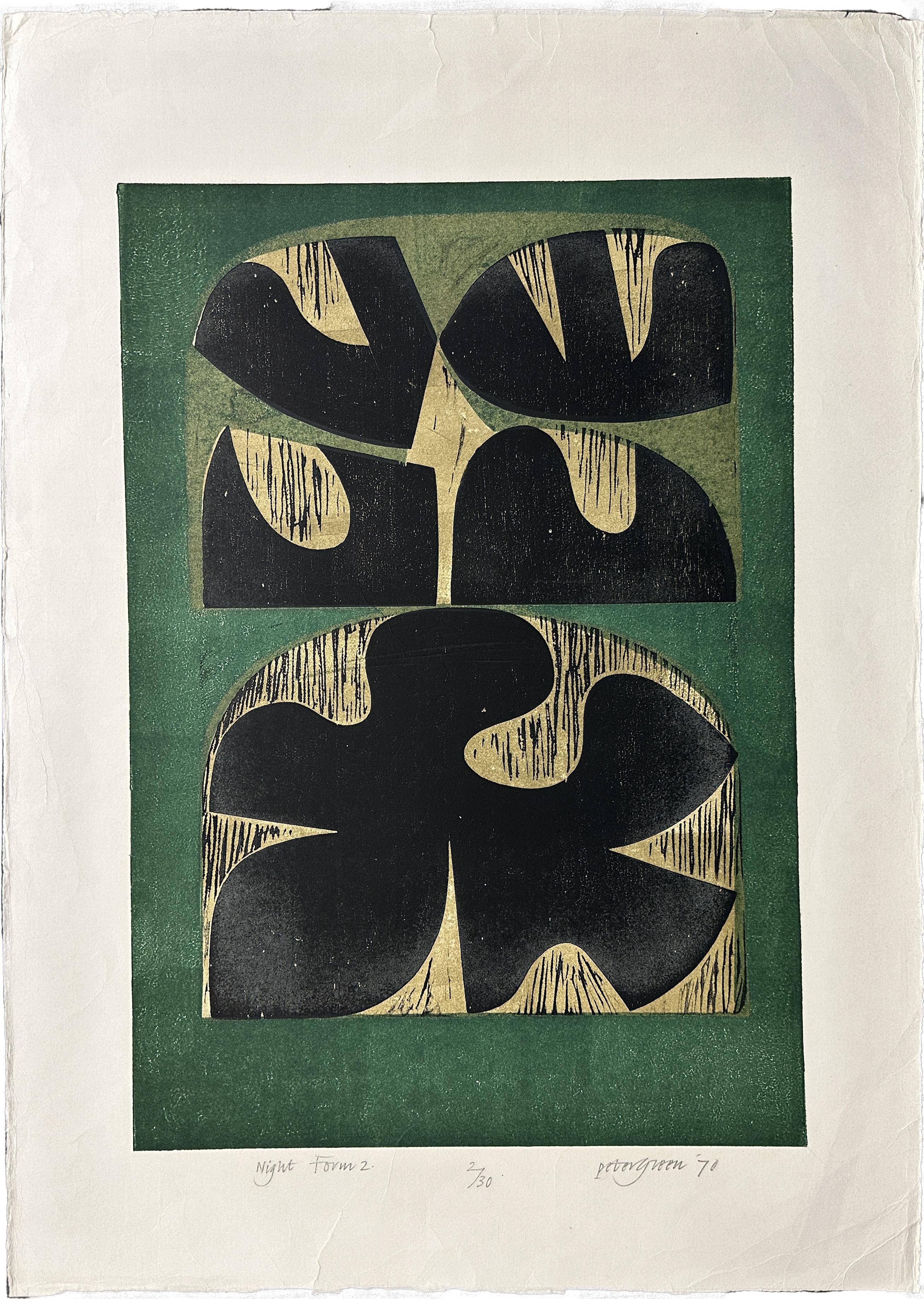 Peter Green Interior Print – Nachtform 2 1970 Signierter großer Holzschnitt in limitierter Auflage