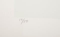 Negativo, serigrafia moderna di Peter Grippe