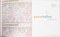 Peter Halley Maintain Speed by Susan Kandel, New First Edition