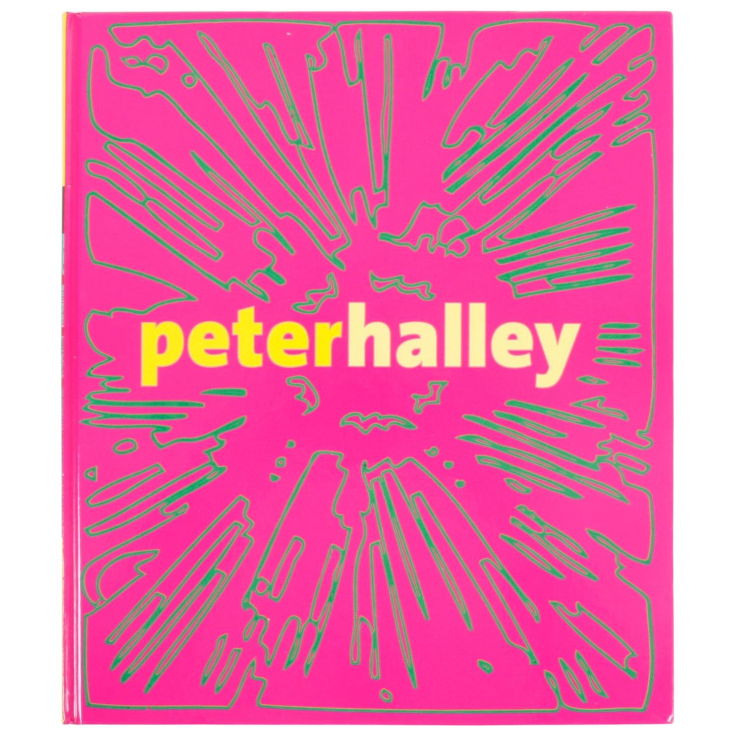 « Maintain Speed » de Peter Halley par Susan Kandel, nouvelle première édition