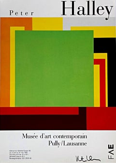 Póster del Museo de Arte Contemporáneo Pully/Lausanne (Firmado a mano por Peter Halley)