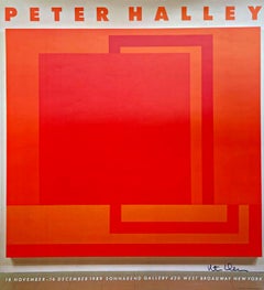 Peter Halley bei Sonnabend Gallery poster, New York (Handsigniert von Peter Halley)