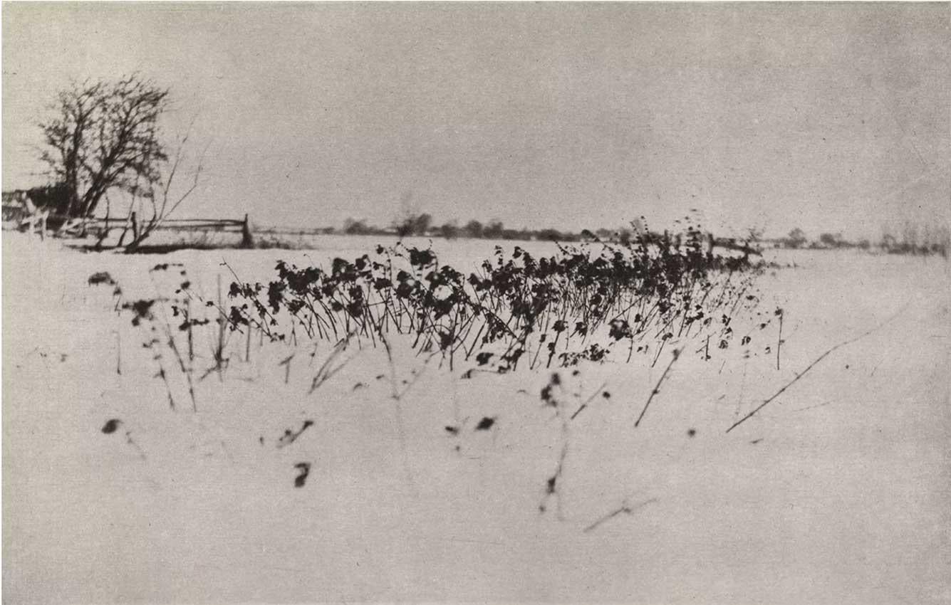 Peter Henry Emerson Black and White Photograph – Der Schneegarten