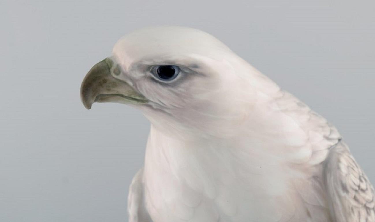 Hand-Painted Peter Herold for Royal Copenhagen, Large Porcelain Figure, Icelandic Falcon