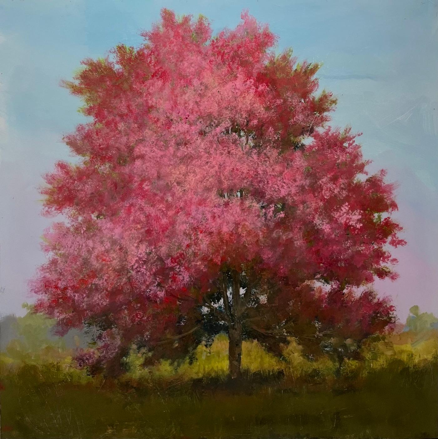 Peter Hoffer fait le portrait des arbres. Il invite le public à observer de plus près leur posture, leurs détails et leurs expressions. Le sujet est aussi important que la technique : la façon dont les arbres se râpent, se rayent et vieillissent