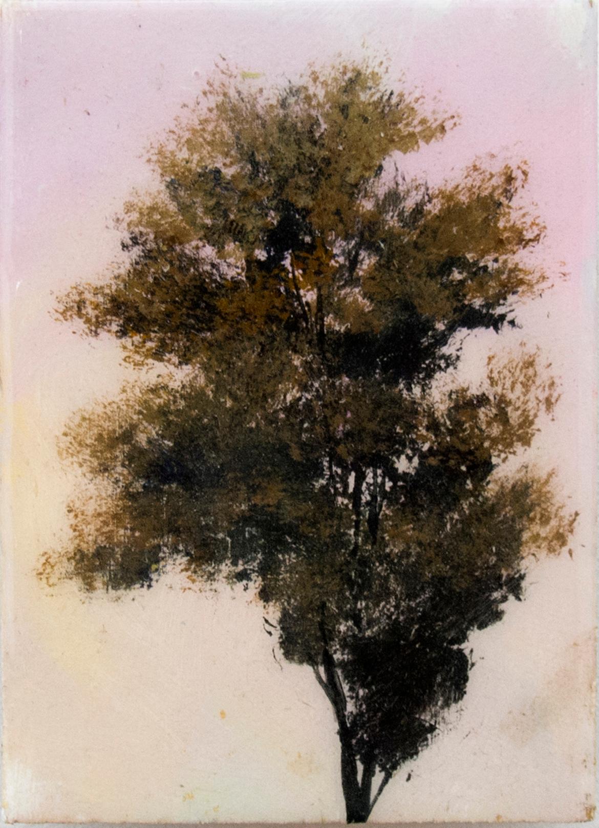 Eine einzelne belaubte Baumkrone auf einem schlanken Stamm vor einem cremefarbenen, zitronengelben Himmel auf einer kleinen Tafel ist mit einem anderen einzigartigen Gemälde eines etwas volleren Baumes auf einem hellrosa Grund gepaart. Diese intimen