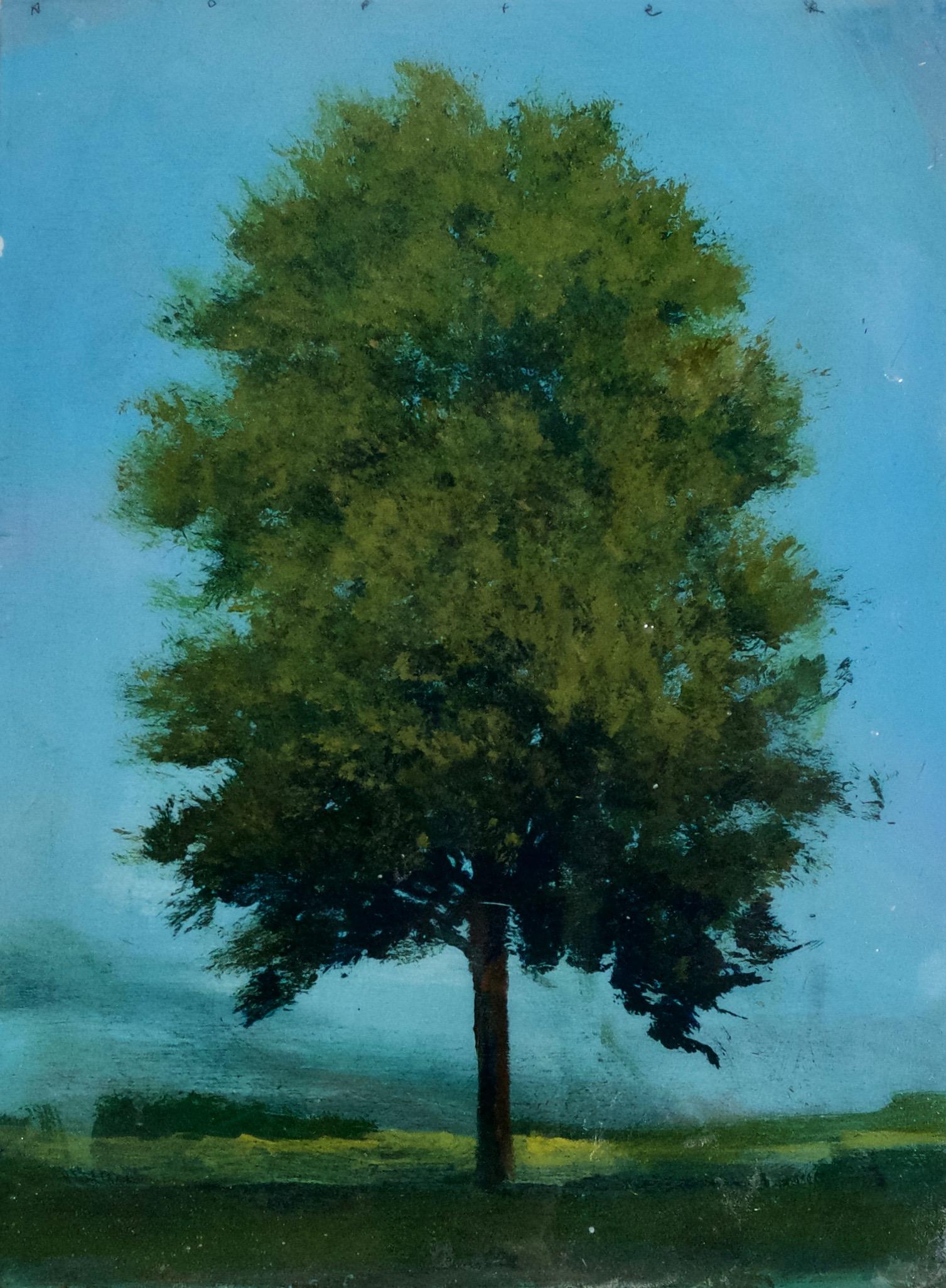 Peter Hoffer portrays trees. He invites the audience to take a closer look at their posture, their details and their expressions. The subject is as important as the technique: the way trees grate, scratch and age is as much of a concern to Hoffer as