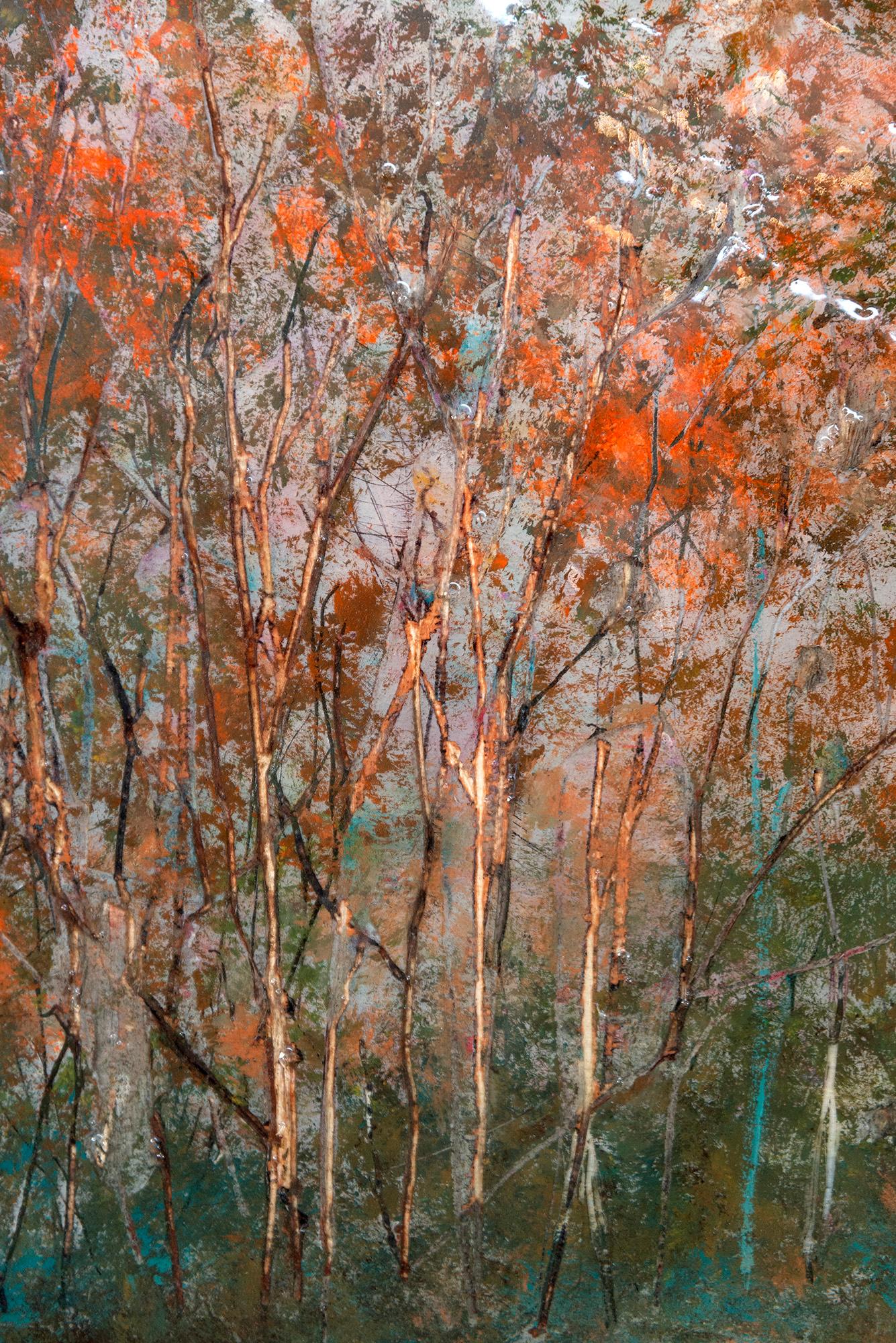 AM Contemporary - contemporain, paysage, arbres, acrylique et résine sur panneau 1