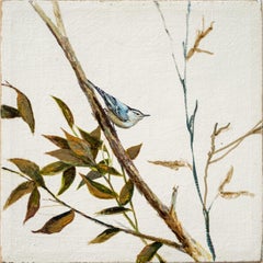 Nuthatch - contemporary bird painting, clay pigment on jute