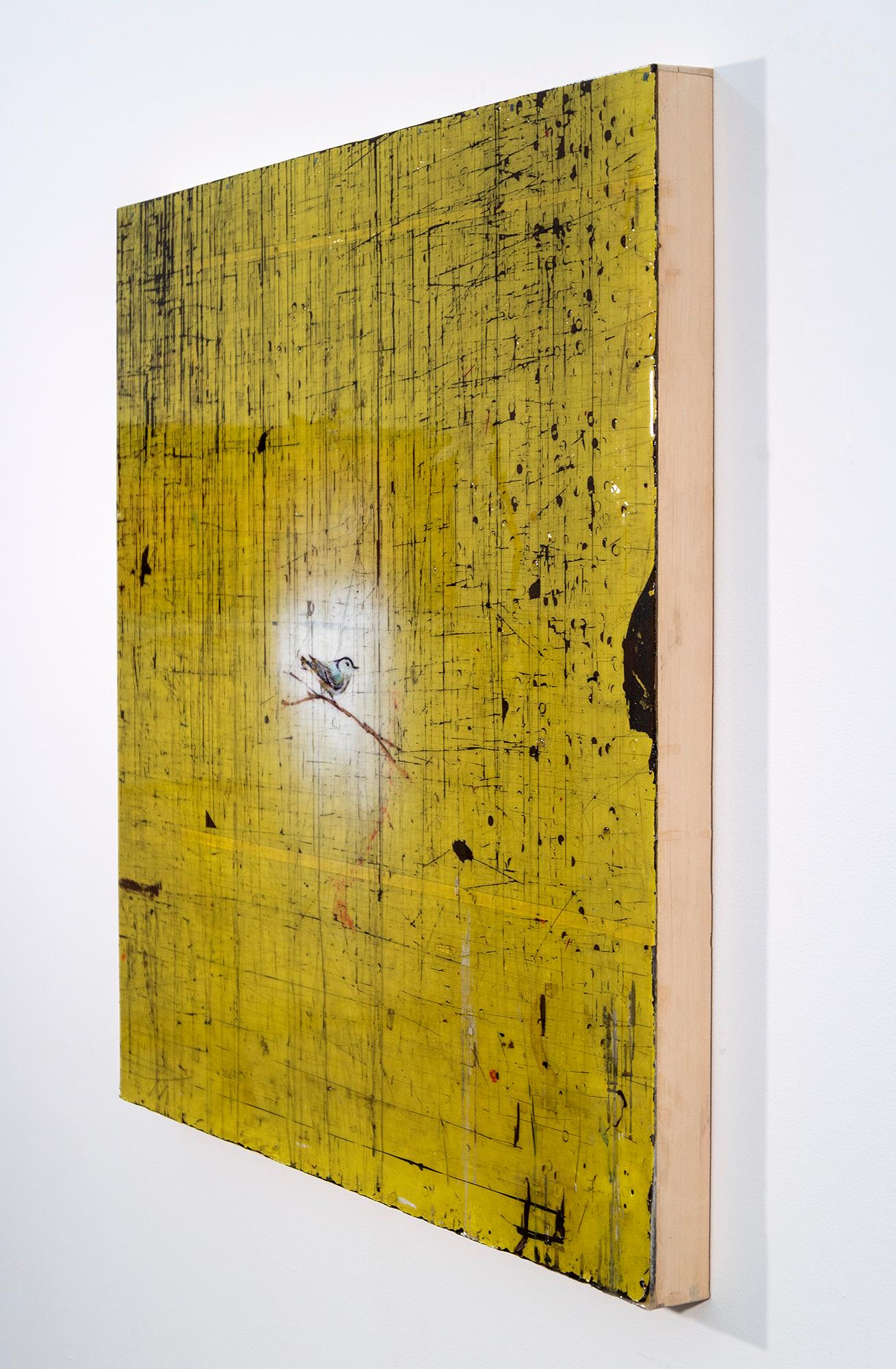 Trepador azul III - contemporáneo, figurativo, pájaro, acrílico y resina sobre tabla - Painting Contemporáneo de Peter Hoffer