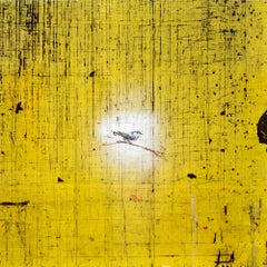 Picchio III - contemporaneo, figurativo, uccello, acrilico e resina su tavola