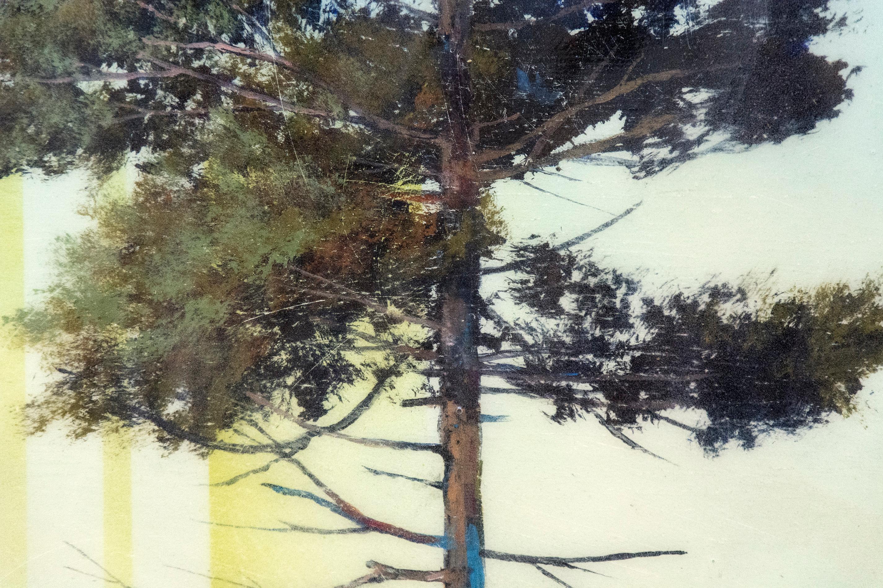 Pine Tree with Shadow - Painting by Peter Hoffer