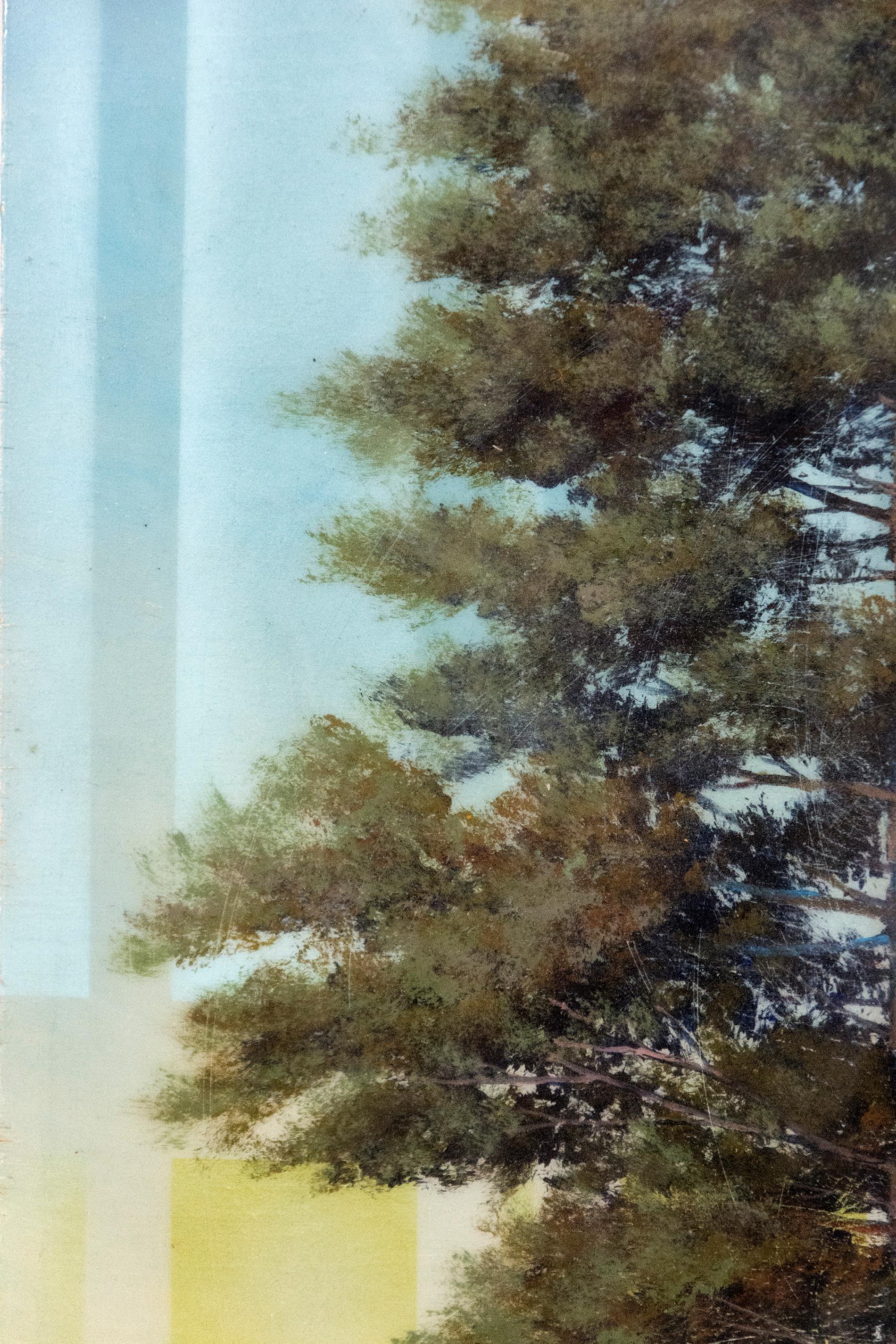 Pine Tree with Shadow - Gray Landscape Painting by Peter Hoffer