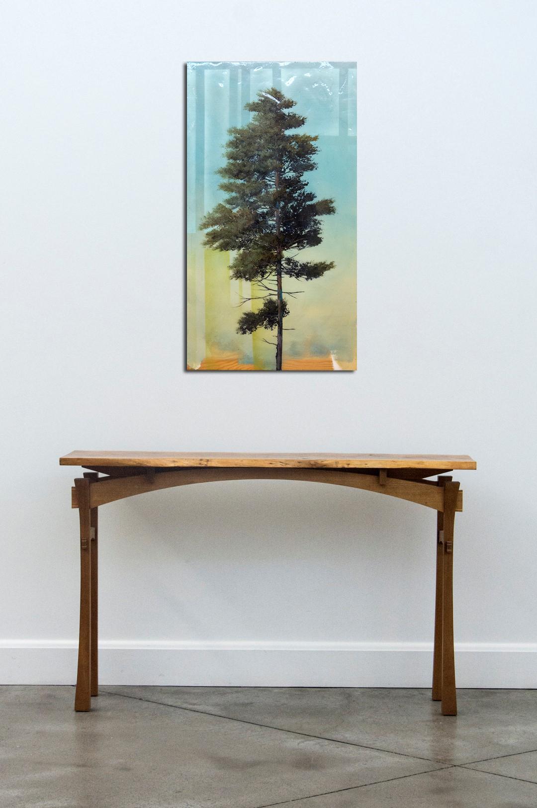 A proud deciduous tree is set against a blue and sea green sky in this acrylic on panel by Peter Hoffer. The artist's skilled rendering is reminiscent of the styles of Lorraine or Constable. The work evokes nostalgia for classical, romantic forms