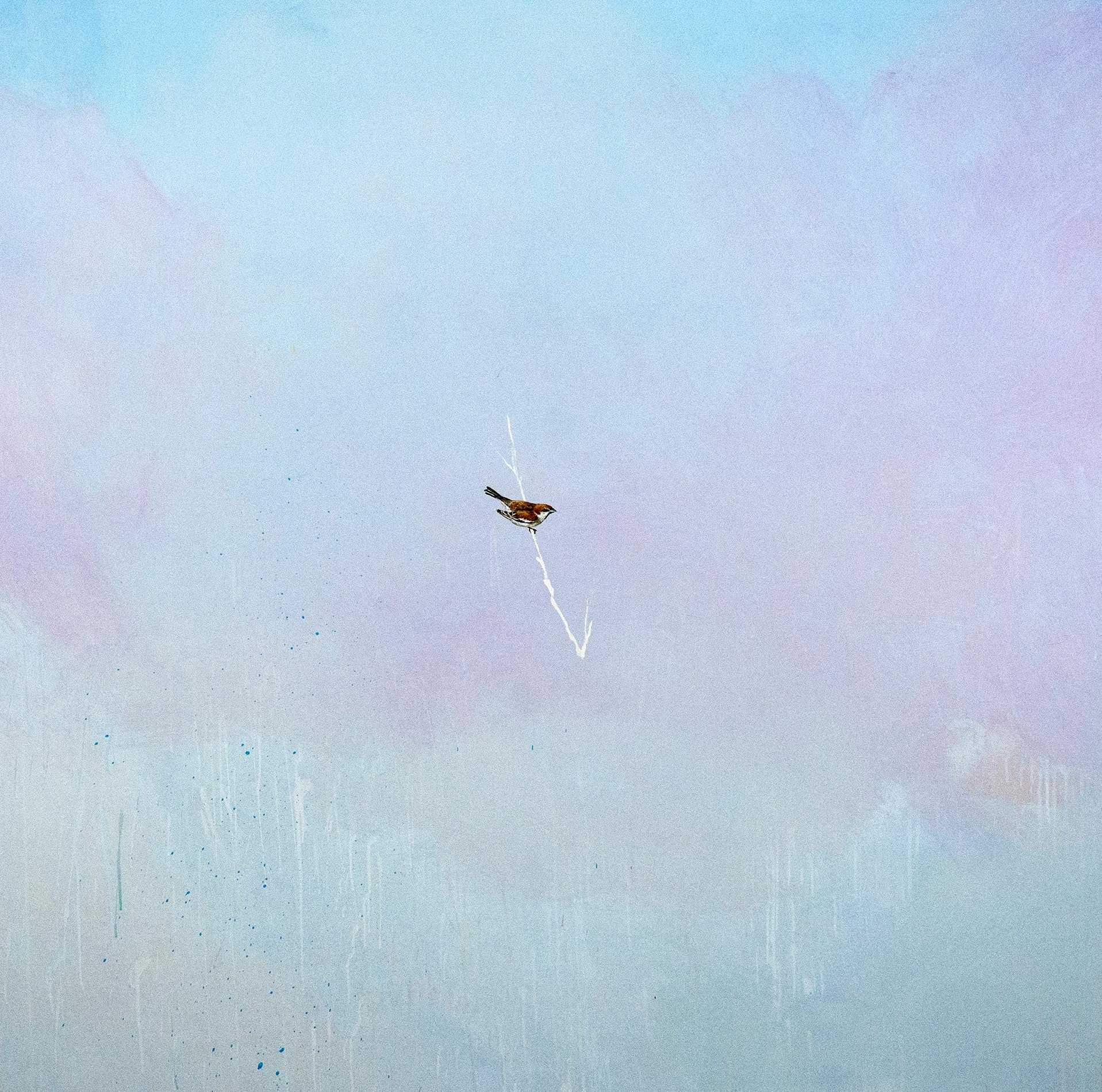 Sparrow - soft, blue, lilac, bird, acrylic and clay pigment on canvas - Painting by Peter Hoffer