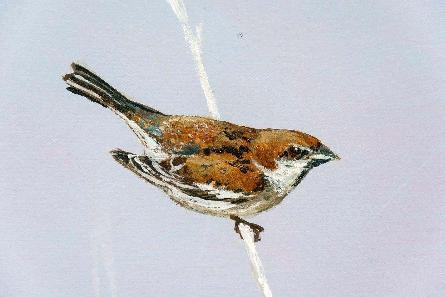jeroen sparrow