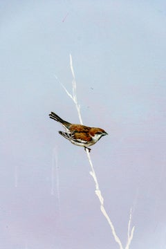 Sparrow - soft, blue, lilac, bird, acrylic and clay pigment on canvas