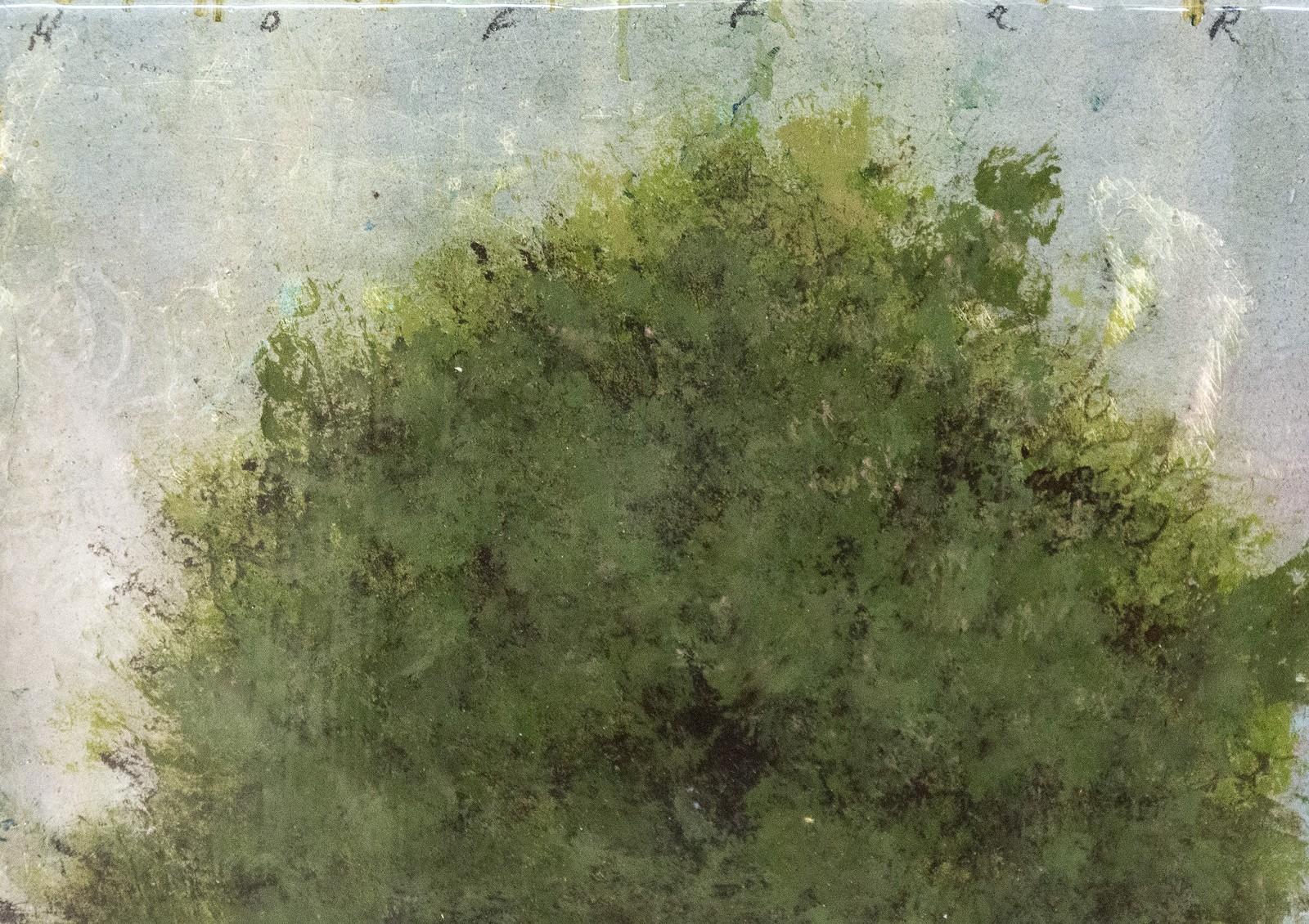 Peter Hoffer ist bekannt für seine romantischen, eleganten Landschaften, die an Künstler wie John Constable erinnern. Es handelt sich um eine Serie von 12 stimmungsvollen Porträts einzelner Laubbäume vor einem pastellfarbenen Himmel, wobei jeder