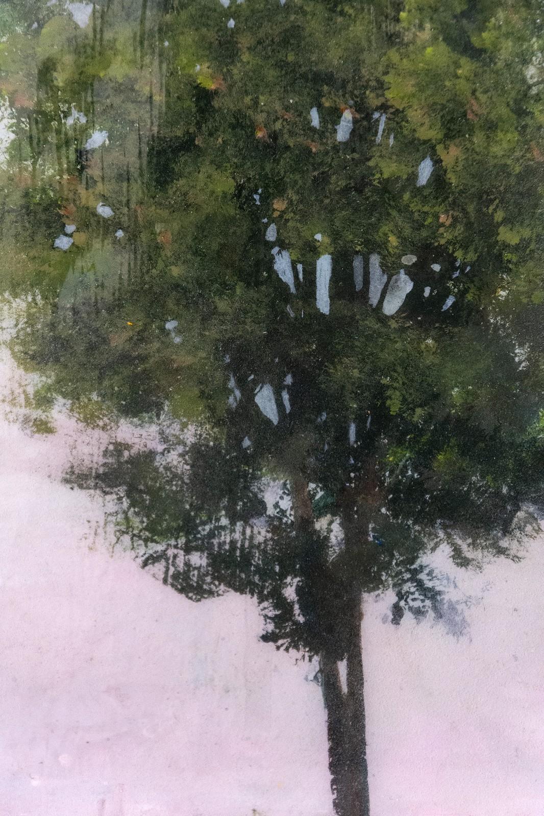 Baumporträt 20207 - klein, grün, rosa, figurativ, Acryl auf Platte Serie – Painting von Peter Hoffer