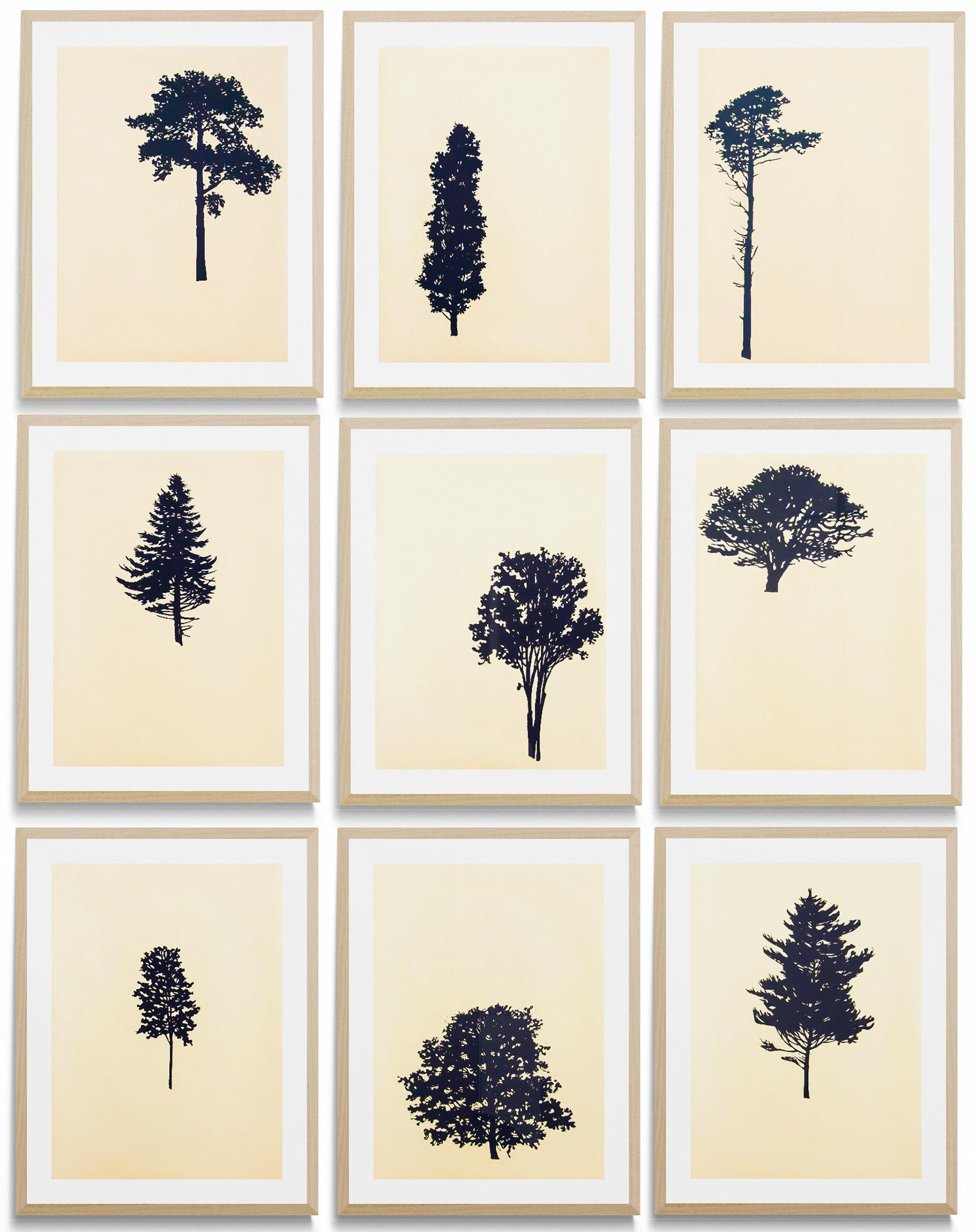 Peter Hoffer Landscape Print - Der Wald (portfolio of 9) 10 of 12 -  grouping, woodblock prints on art paper