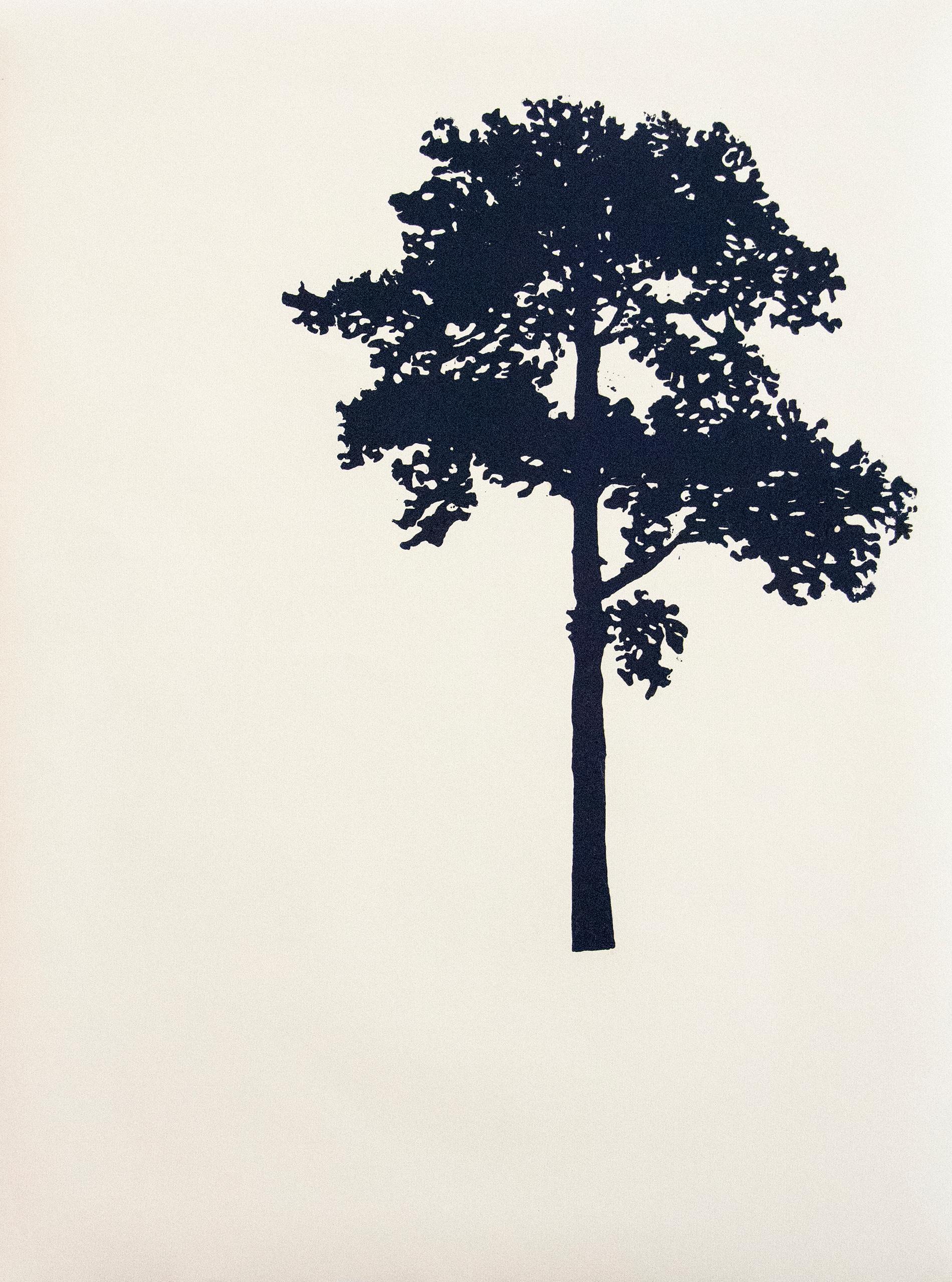 Der Wald  8/12 - portfolio of 9 woodblock prints 6